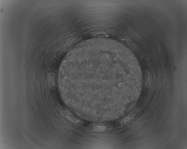 X0000062650658200601111153