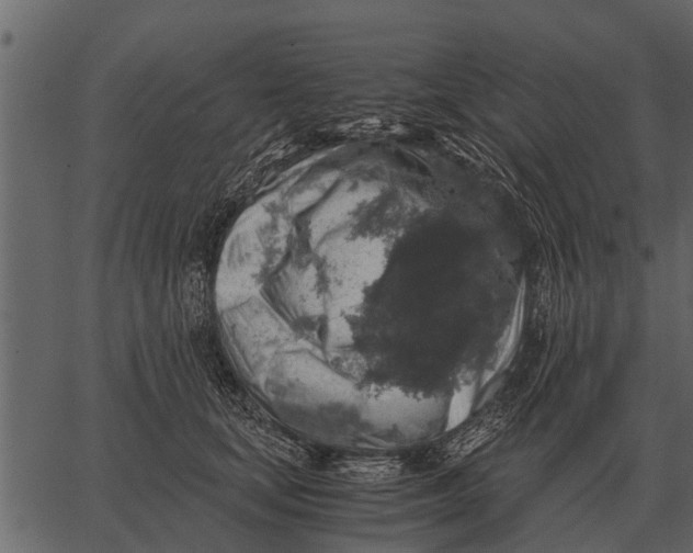 X0000062650659200601111153