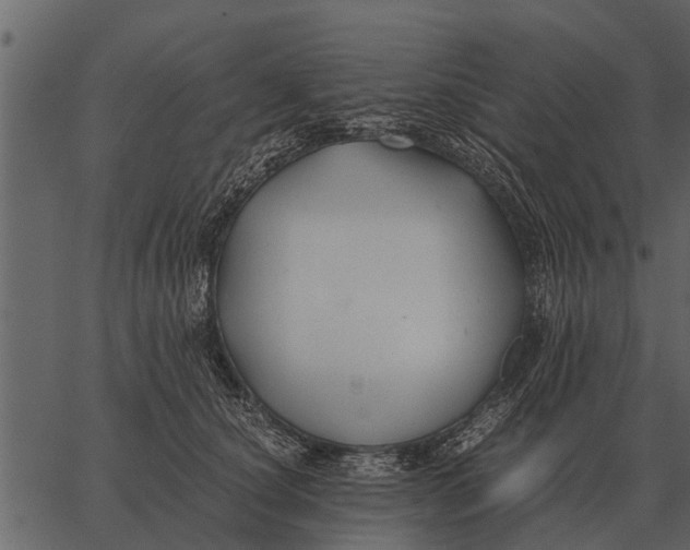 X0000062650660200601111153