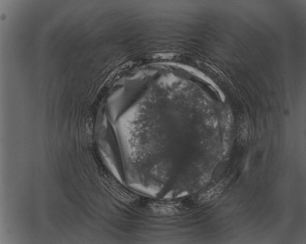 X0000062650661200601111153