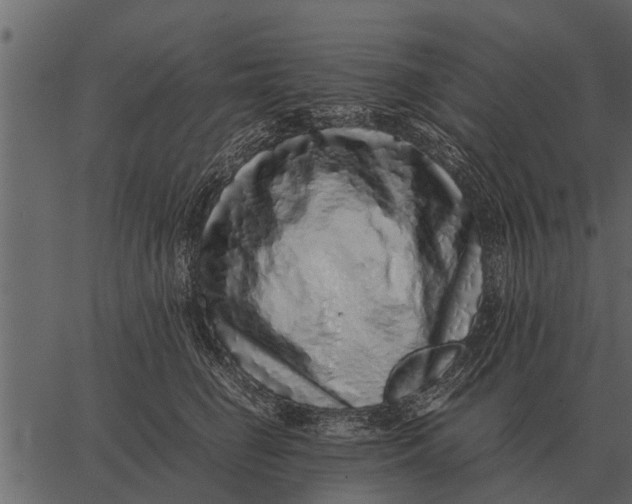 X0000062650662200601111153