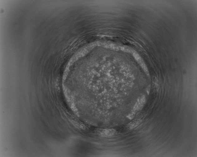 X0000062650663200601111153