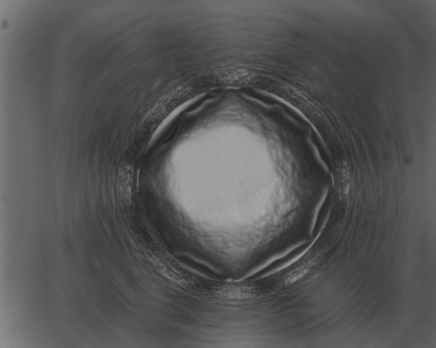 X0000062650664200601111153