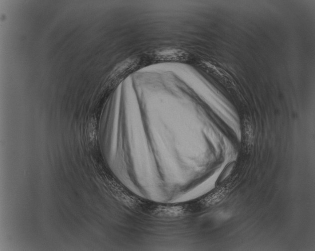 X0000062650665200601111153