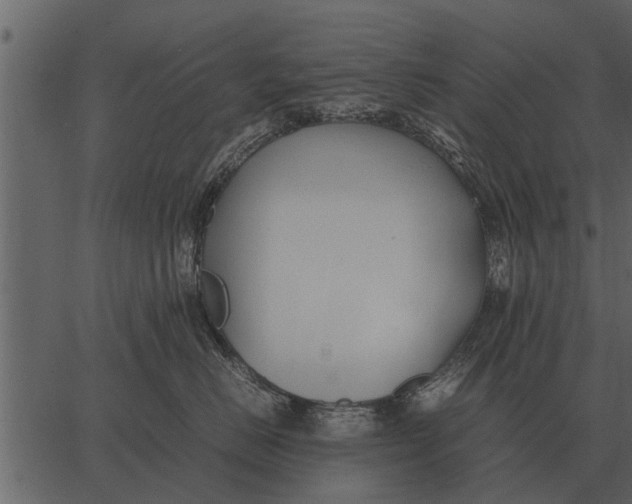 X0000062650670200601111153