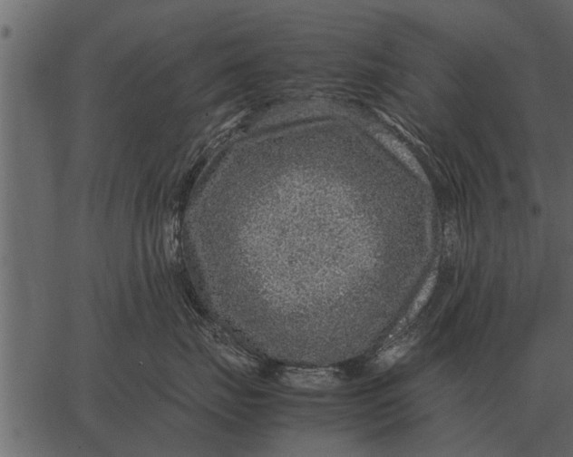 X0000062650671200601111153