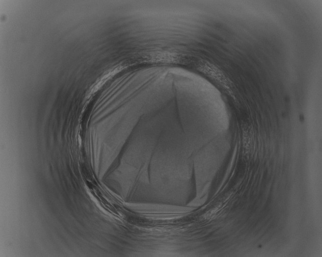 X0000062650674200601111152