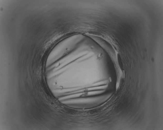 X0000062650675200601111152