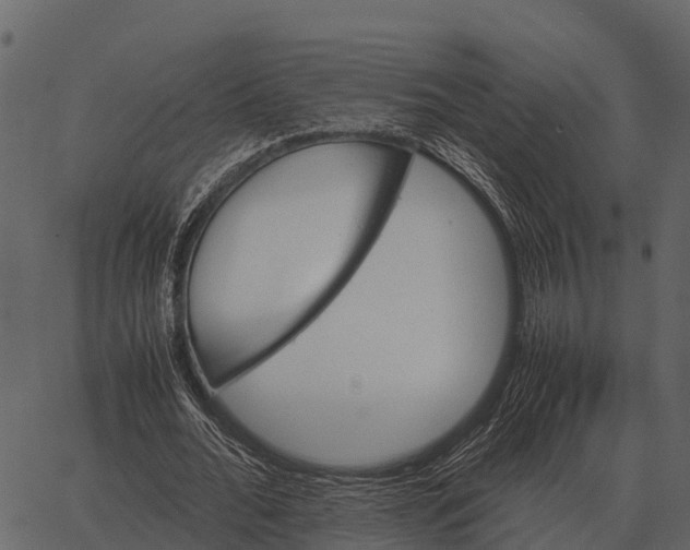 X0000062650676200601111152