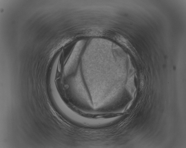 X0000062650677200601111152