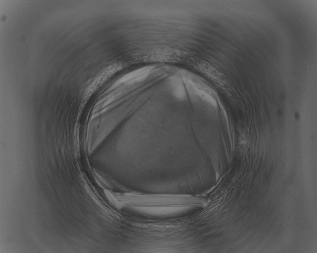 X0000062650678200601111152