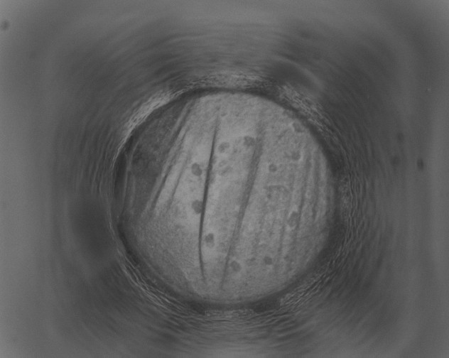 X0000062650679200601111152