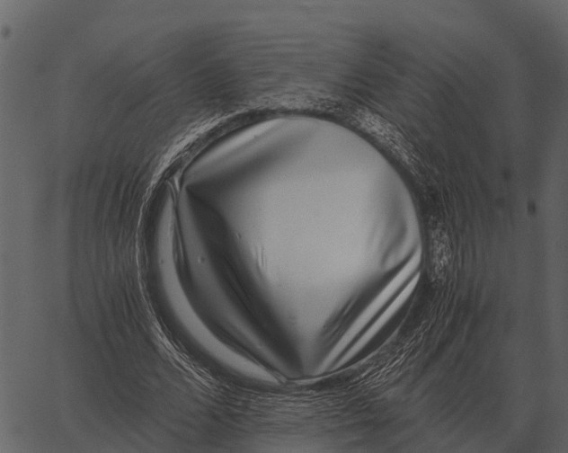 X0000062650680200601111152