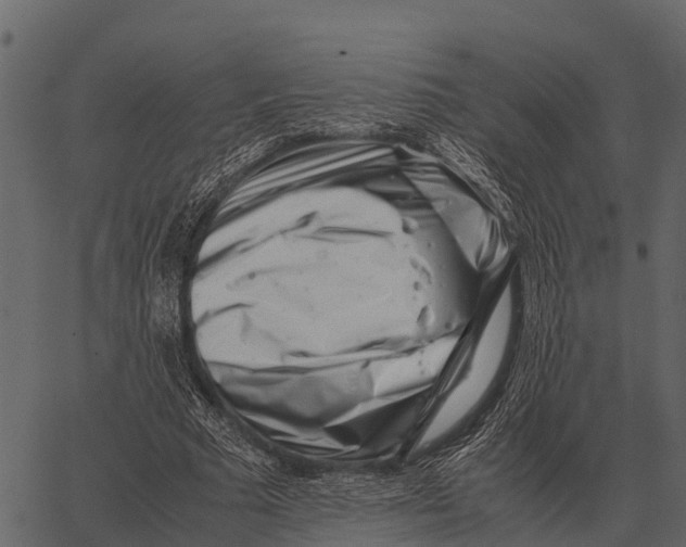 X0000062650681200601111152