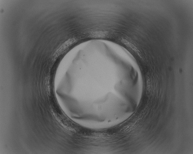 X0000062650682200601111152