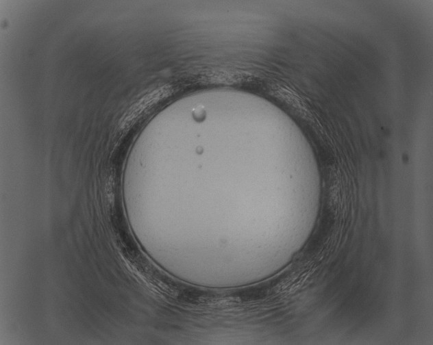 X0000062650683200601111152