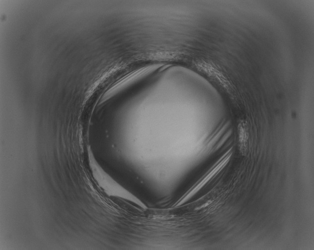 X0000062650684200601111152