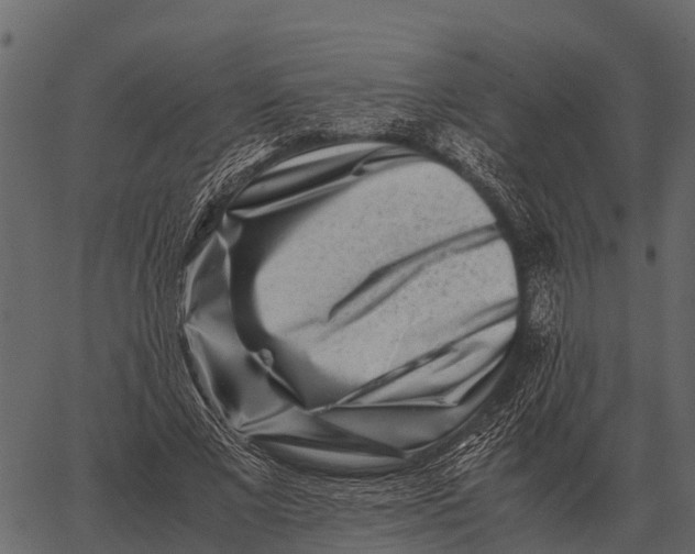 X0000062650685200601111152