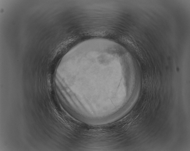 X0000062650688200601111152