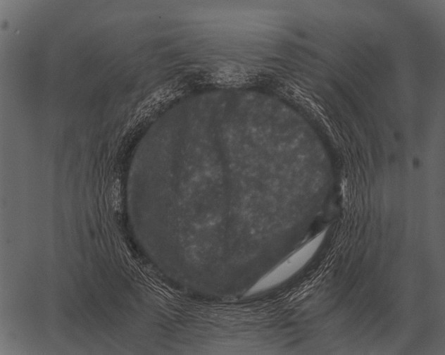 X0000062650689200601111152