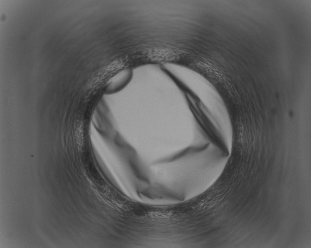 X0000062650690200601111152