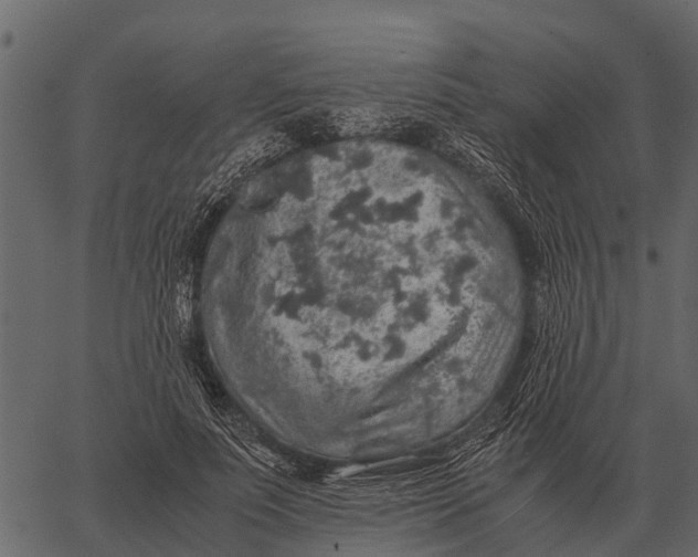 X0000062650691200601111152