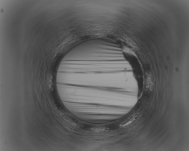 X0000062650693200601111152