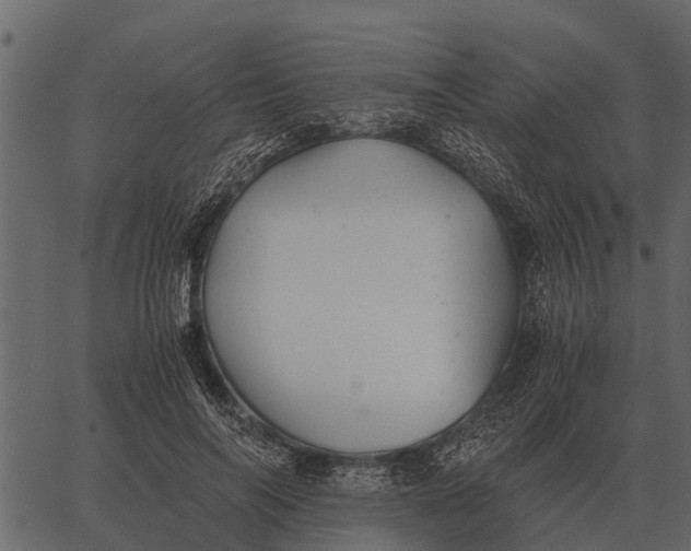 X0000062650694200601111152