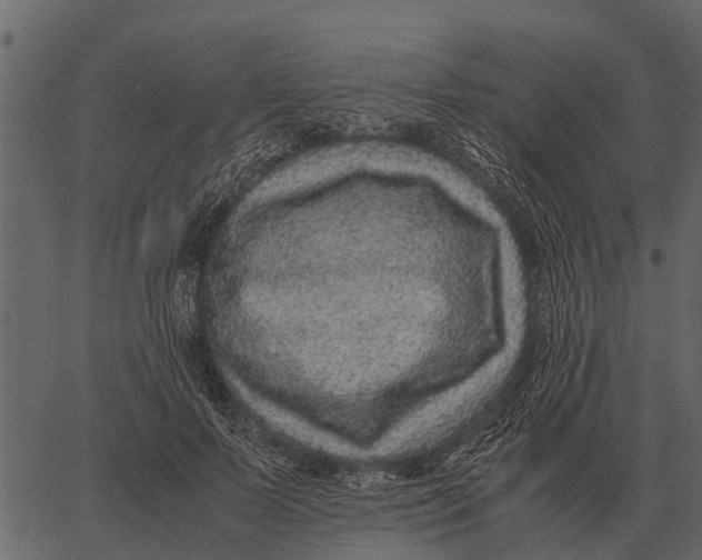 X0000062650695200601111152