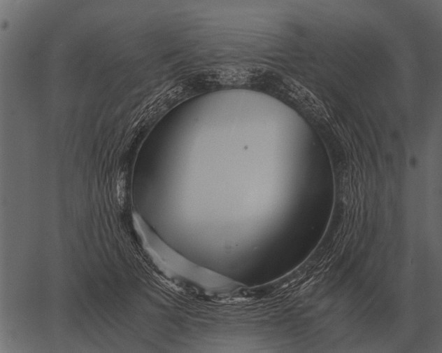 X0000062650697200601111152