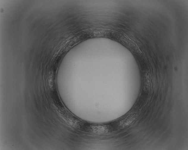 X0000062650698200601111152