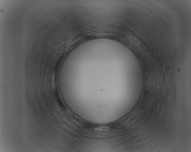 X0000062650700200601111152