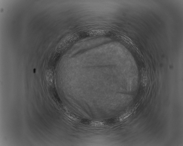 X0000062650701200601111152