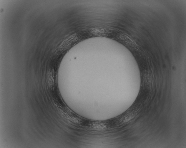 X0000062650702200601111152