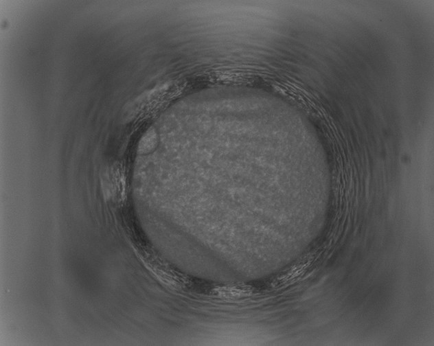 X0000062650703200601111152