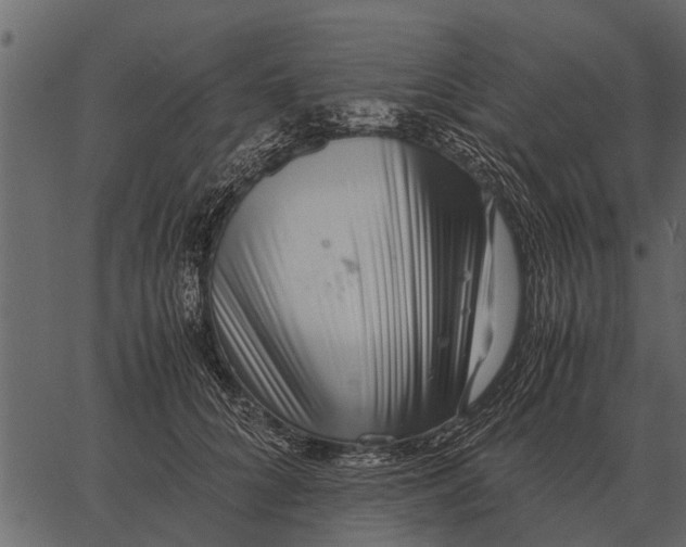 X0000062650704200601111152