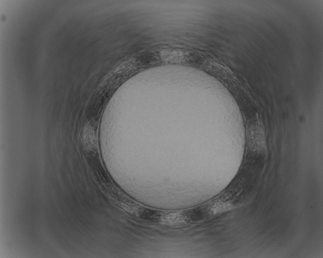 X0000062650705200601111152