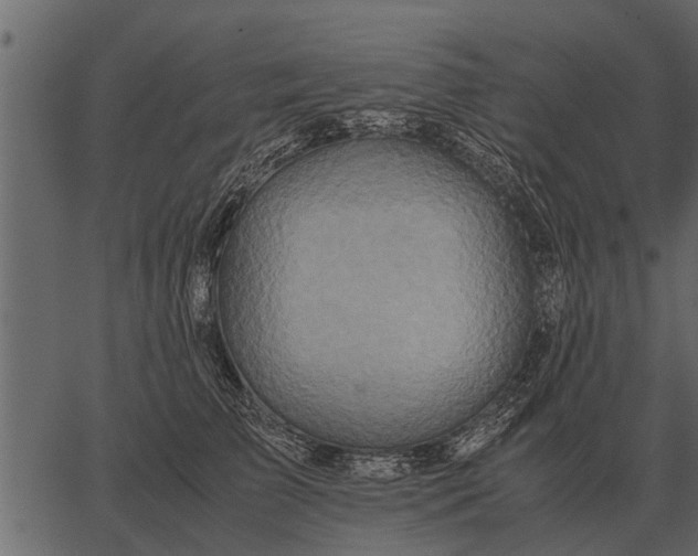 X0000062650709200601111152