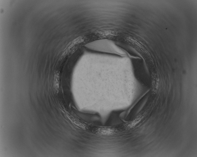 X0000062650710200601111152