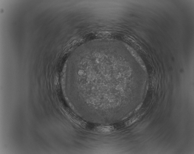 X0000062650711200601111152