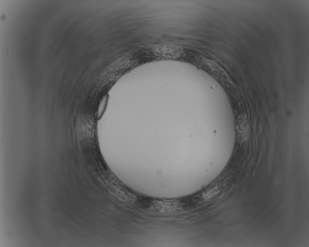 X0000062650713200601111152