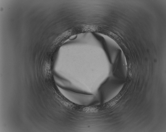 X0000062650714200601111151