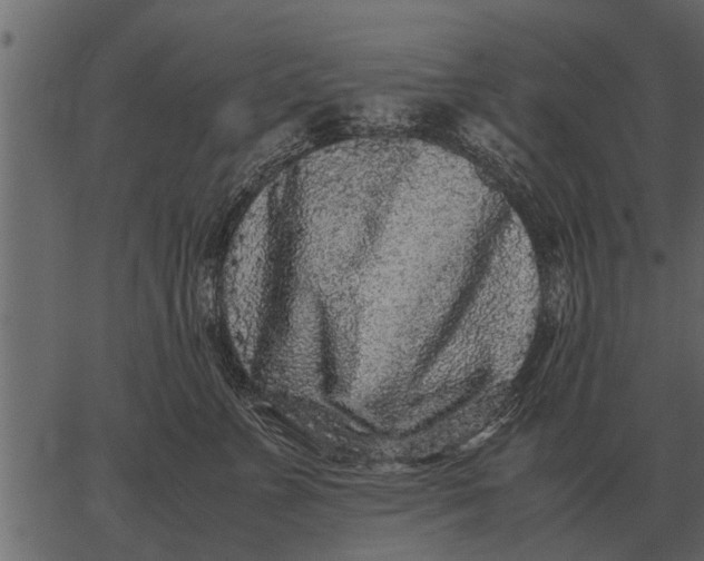 X0000062650715200601111151