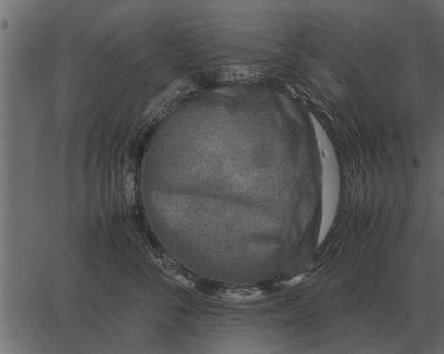 X0000062650716200601111151