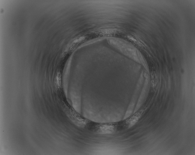 X0000062650718200601111151