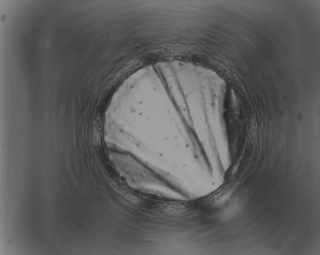 X0000062650719200601111151