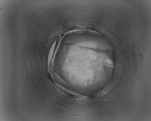 X0000062650720200601111151