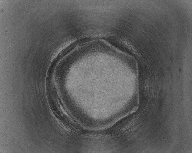 X0000062650722200601111151