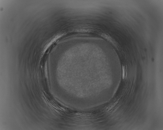 X0000062650723200601111151