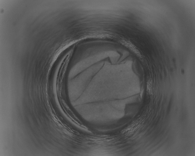 X0000062650724200601111151